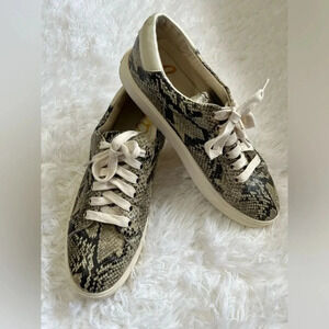 Sam Edelman | Ethyl | Snake Print Sneakers